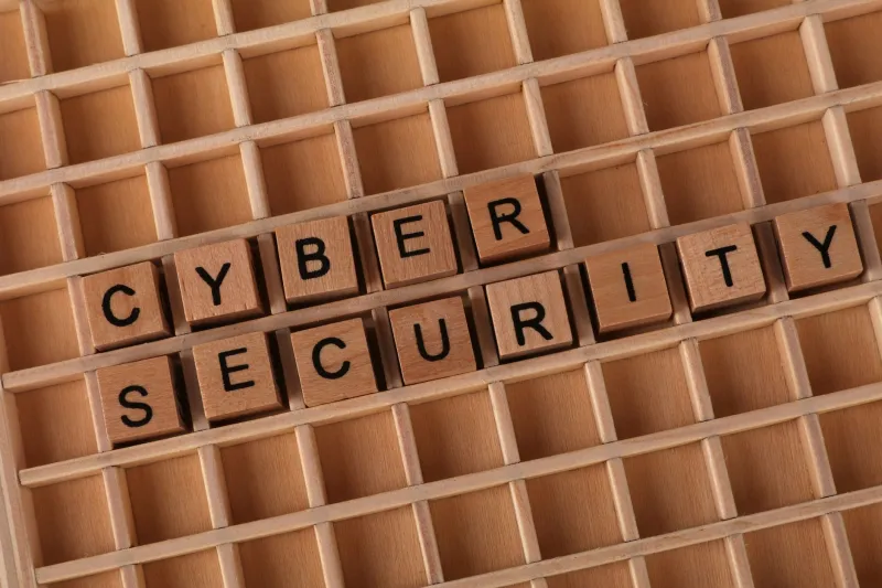 The Identity Premium: Why Your Encrypted Digital Persona May Outvalue Any Virtual Property You Own